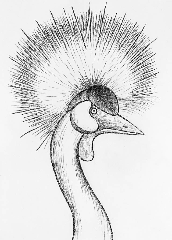 736x1024 Monarch Crane (Chinese Pen) 400 X 300 Rafael Arutjunjan