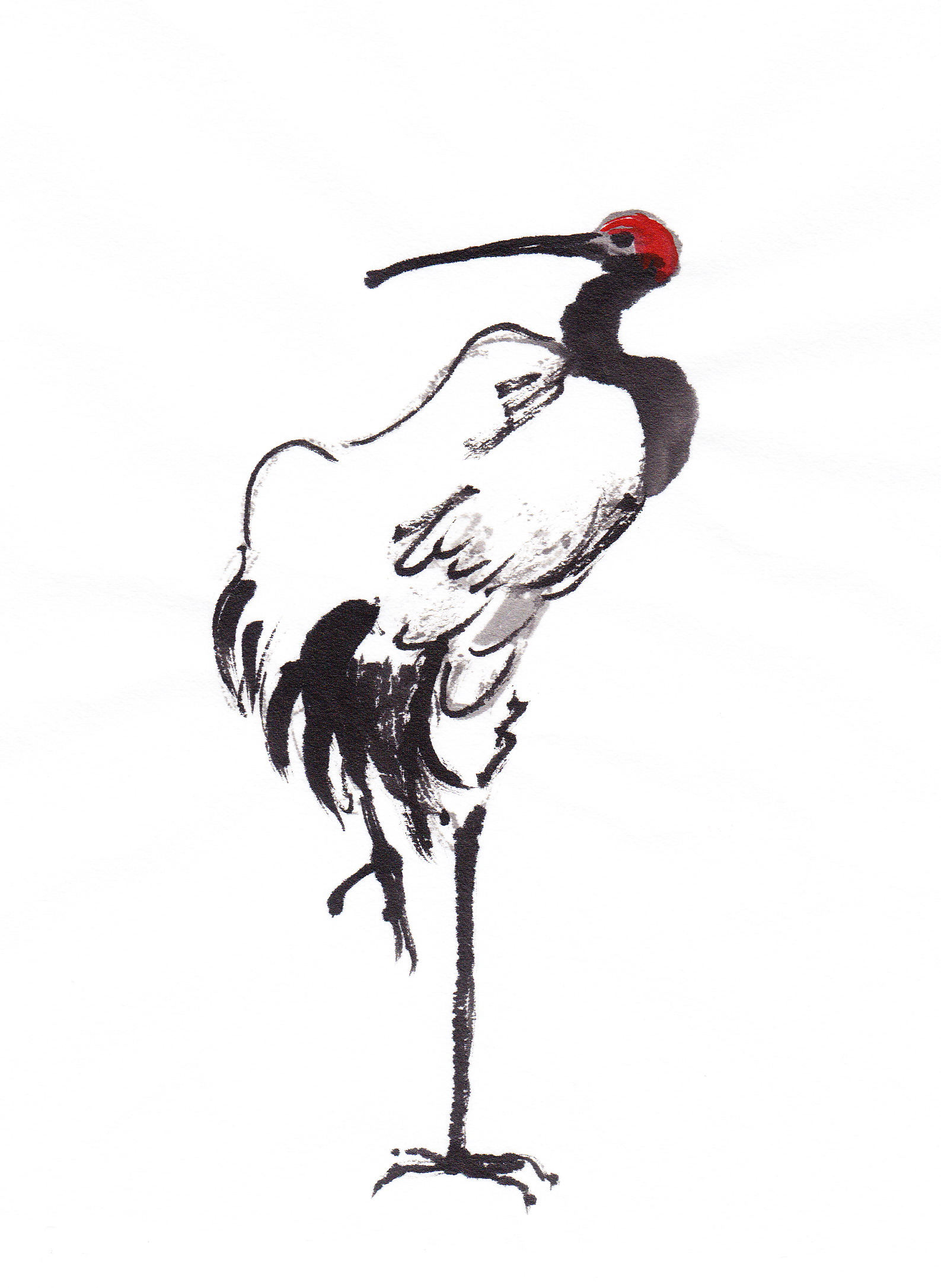 1587x2171 On The Trail Of The Red Crowned Crane Followmybrushmarks