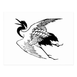 324x324 White Crane Bird Postcards Zazzle
