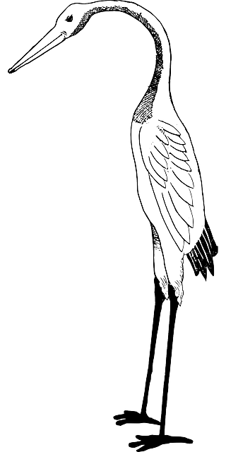 320x640 Bird, Crane, Stork Clipart Idea Bird And Japan Art