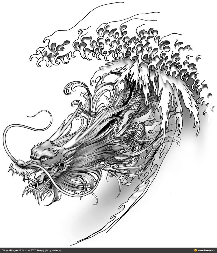 877x1024 Chinese Dragon Drawing 1000 Images About Dragons