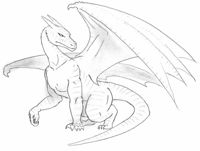 656x495 Dragon Drawing