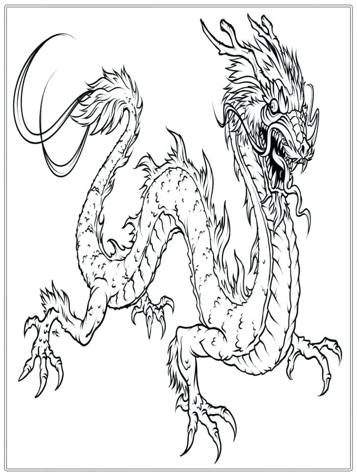 The best free Dragon head drawing images. Download from 23210 free ...