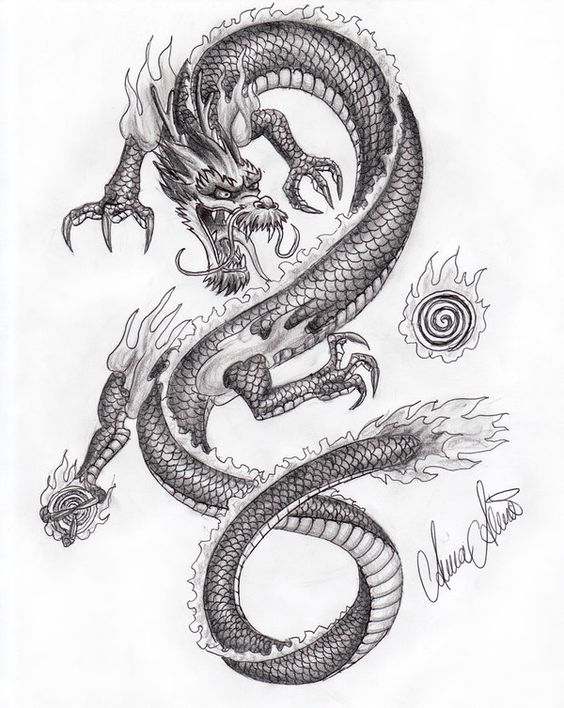 564x708 Asian Dragon Drawings Chinese Dragon Drawings In Pencil