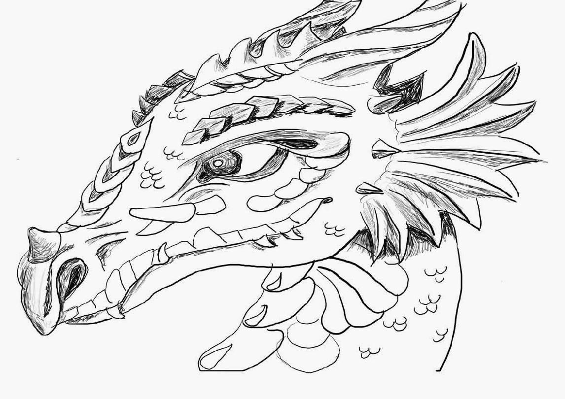 1146x810 Great Coloring Pages Of Dragon Heads Udneeb Has Dragon Coloring