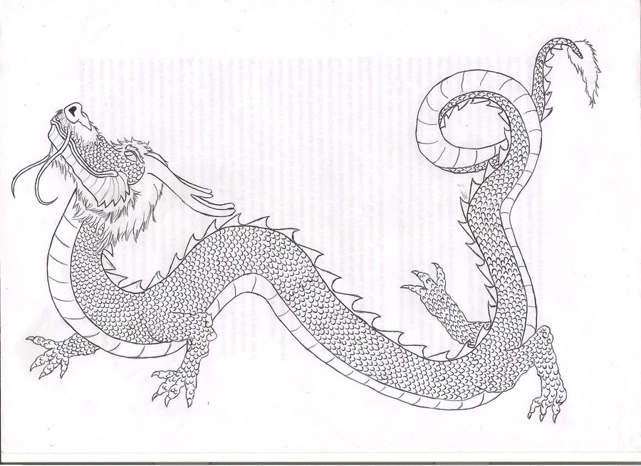 900x655 Chinese Dragon Lineart By Blessedarrow