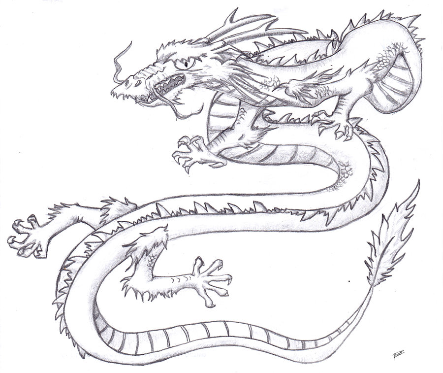 900x757 Chinese Dragon By Palo P