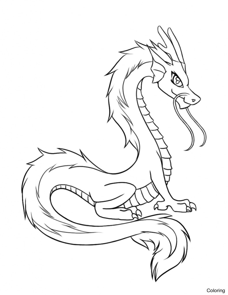 791x1024 Pictures Easy Realistic Dragon,