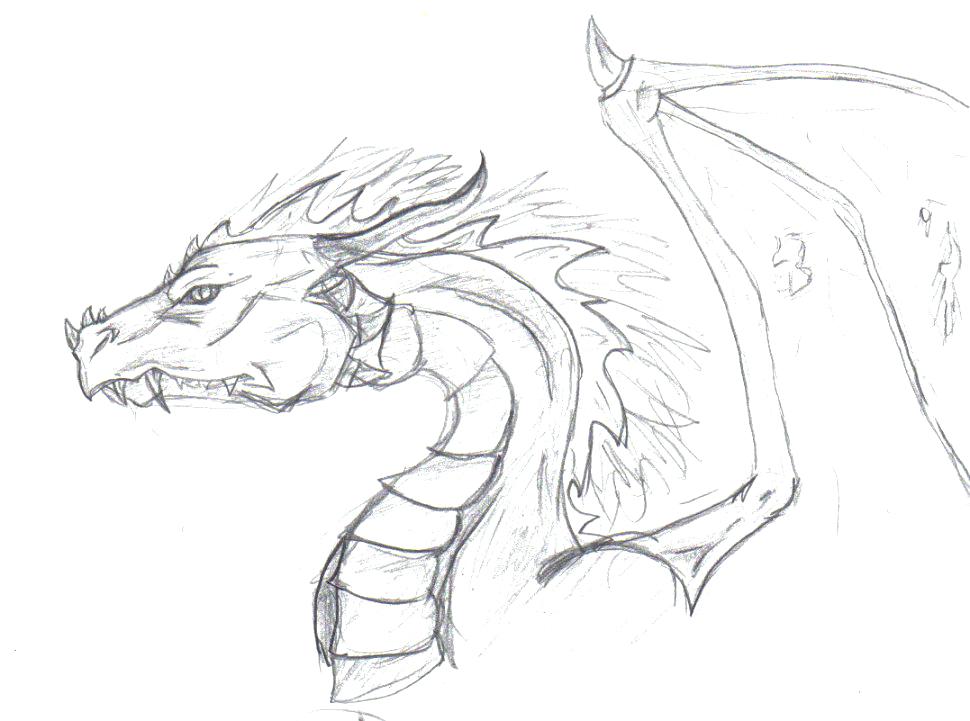 970x721 Dragon Head Coloring Page Printable Dragon Head Coloring Pages