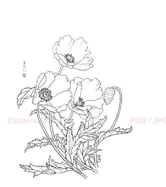 570x641 Chinese Line Drawing 24 Png Digital Download By Easternclipart