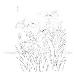 236x265 Chinese Line Drawing 09 Png Digital Download By Easternclipart