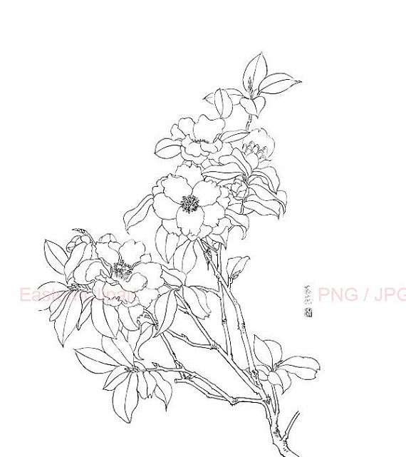 570x641 Chinese Line Drawing 11 Png Digital Download By Easternclipart