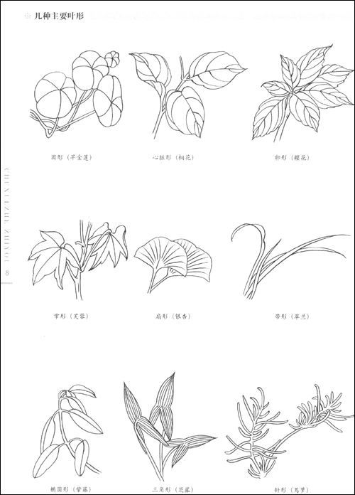 500x696 Chinese Line Drawing ,chinese Traditional Gongbi Painting Books