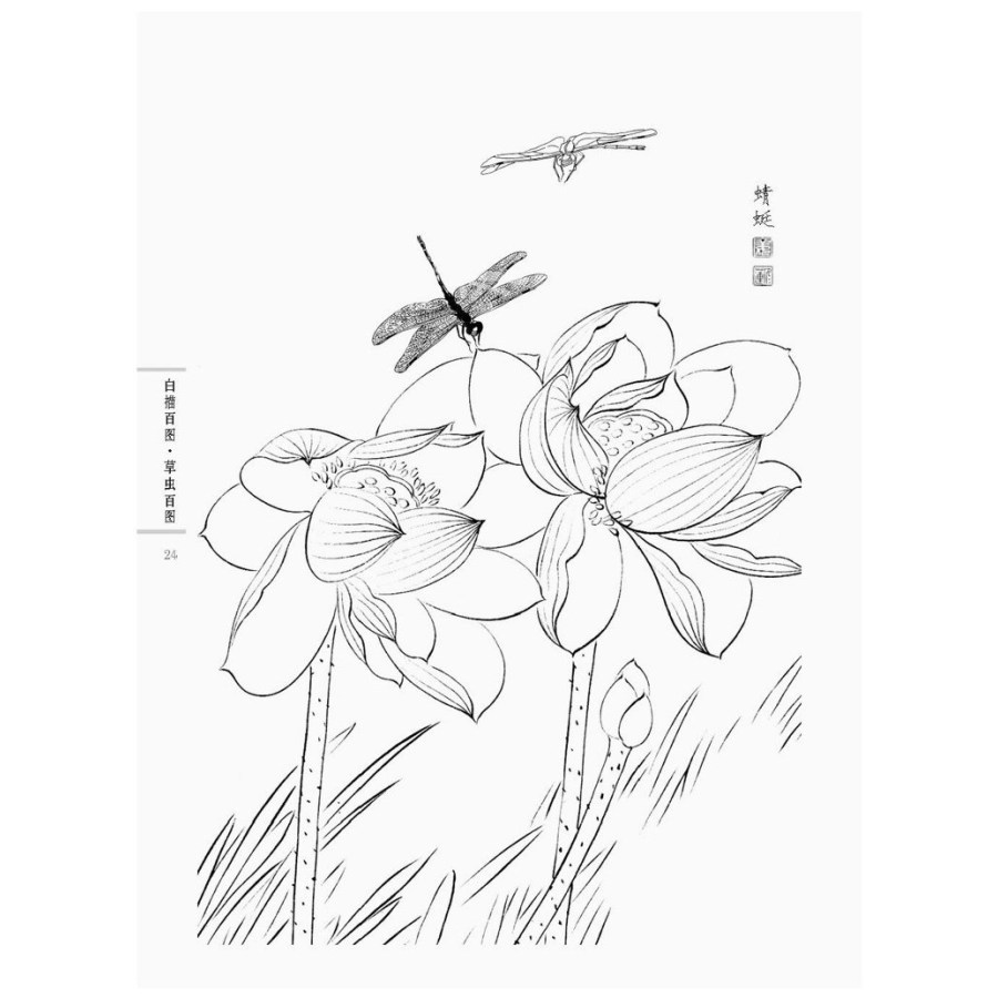 900x900 Chinese Line Drawing Grass And Insect Painting,chinese Traditional