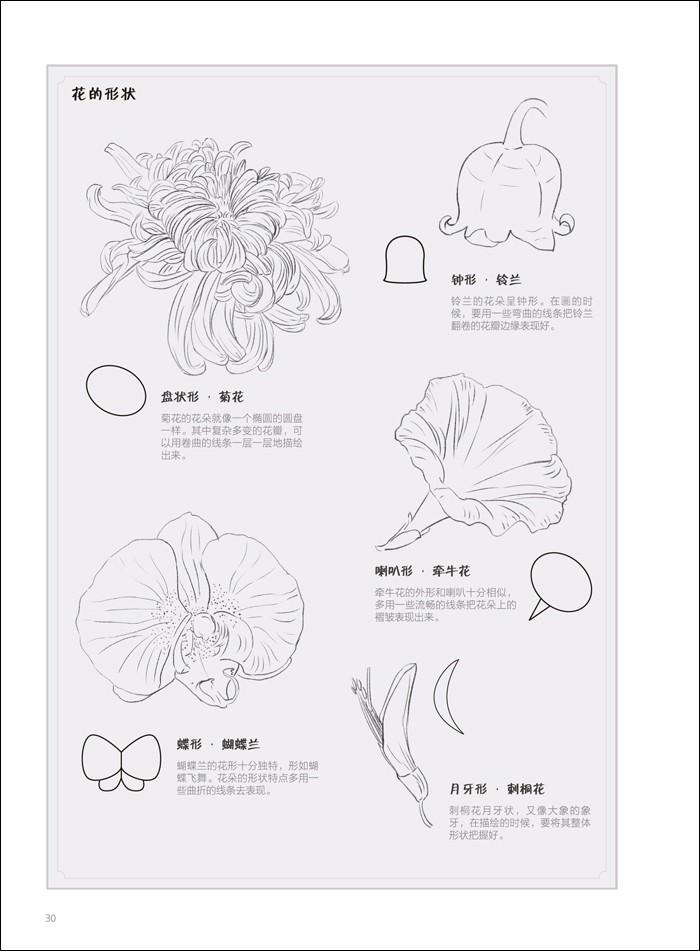 700x951 Coloring Books For Adult Pencil Line Drawing Techniques Painting