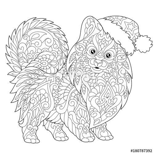 500x500 Coloring Page Of Pomeranian, Dog Symbol Of 2018 Chinese New Year
