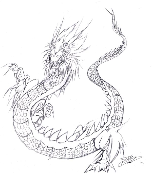 600x682 Chinese Dragon Sketch By Akudou