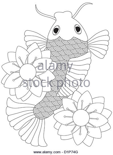 397x540 Gold Fish Black Background Black And White Stock Photos Amp Images