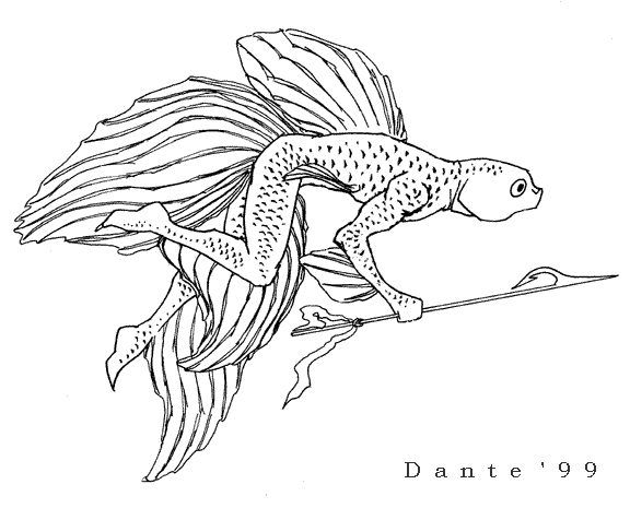 576x465 Chinese Fighter Fish Drawing