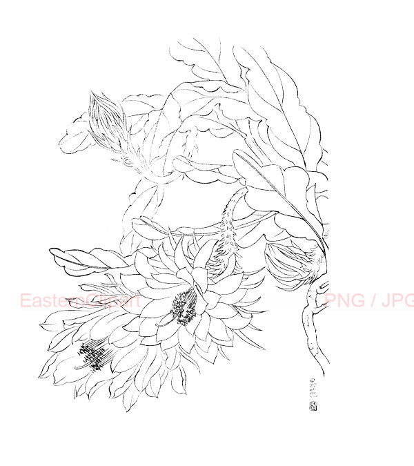 600x675 Chinese Line Drawing 28 Png Digital Download Clip Art Black