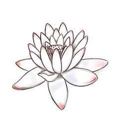 Chinese Flower Drawing at GetDrawings | Free download