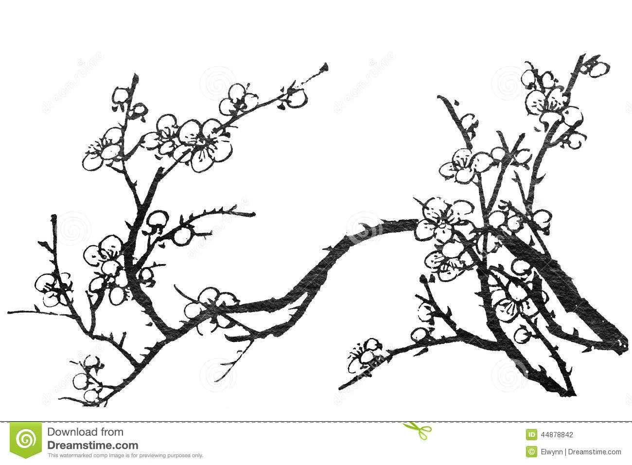 1300x956 Drawn Ume Blossom Chinese