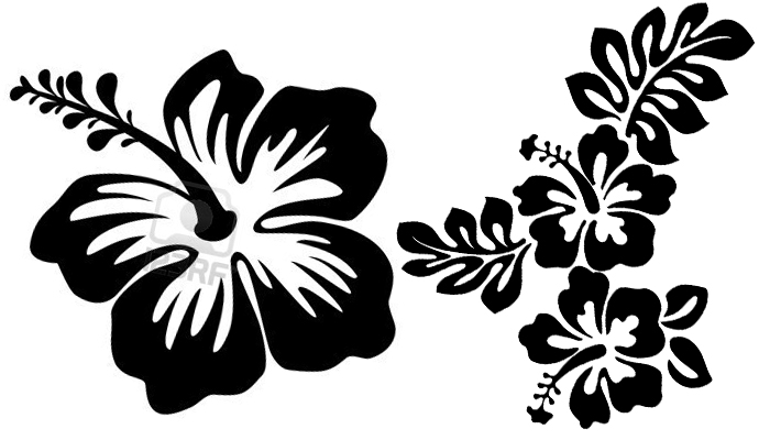 700x400 Hawaiian Flower Designs Group