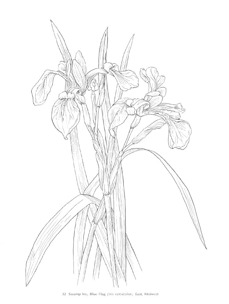 751x998 15 August 2006 Crafty Beats