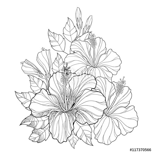 Chinese Flowers Drawing at GetDrawings | Free download