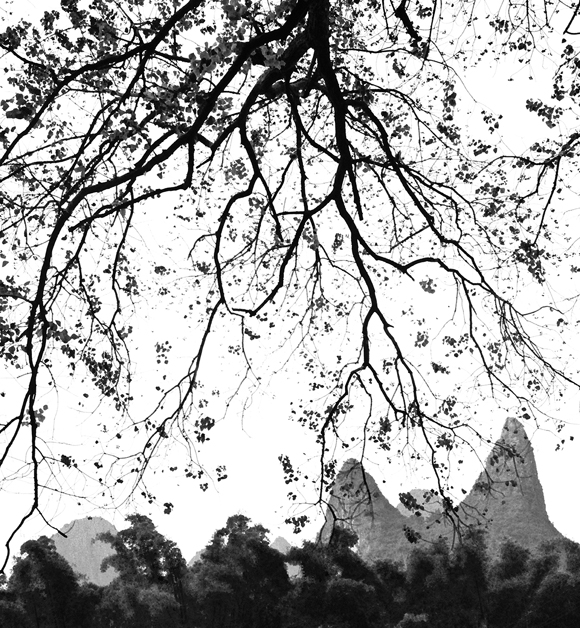 580x628 The World Under Ink And Shade