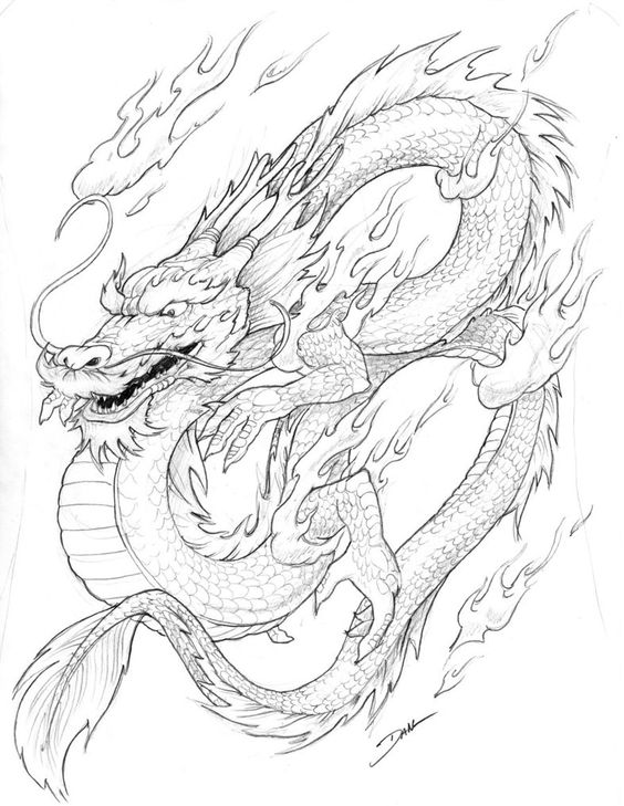 564x729 Pin By Jim Mangione On Dragons Dragons, Adult