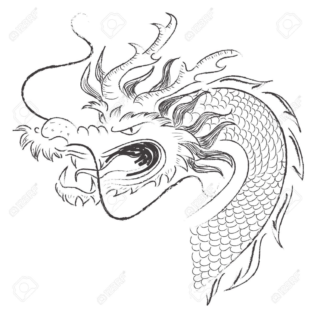 1300x1300 Vector Chinese Dragon Stock Photo, Picture And Royalty Free Image