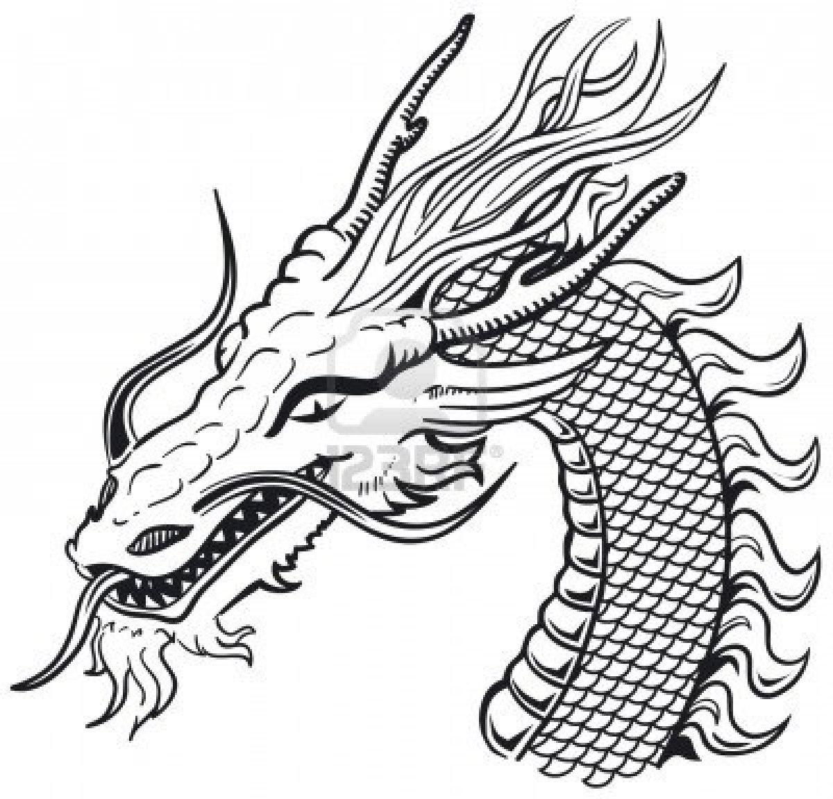1200x1152 Chinese Dragon Head Design Tattoo