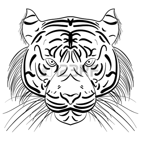 450x450 Stylized Face Of Ink Sketch Chinese Tiger, Tribal Tattoo Royalty