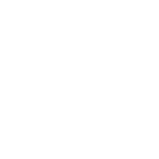 320x320 Chinese Tree