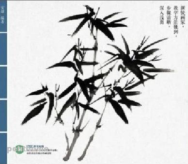 388x338 Chinese Writing Brush Painting Bamboo Book Detailed Study Painting