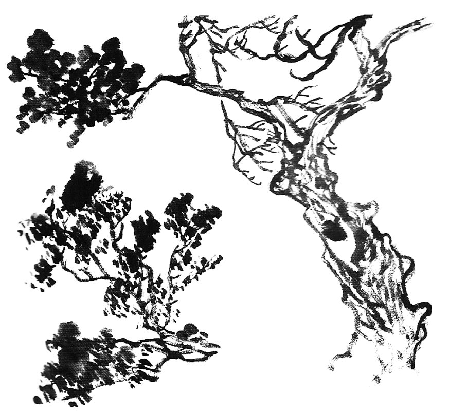 873x800 Different Kind Of Trees In Chinese Painting