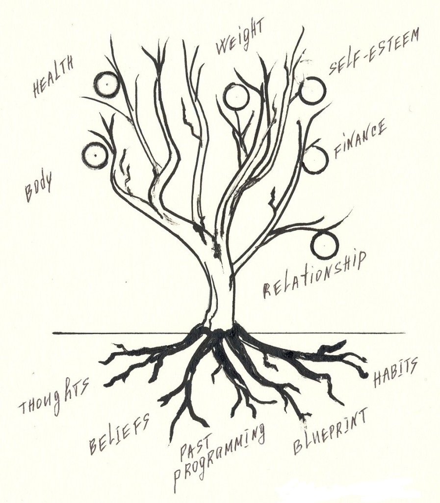 897x1024 The Chinese Bamboo Tree Called Your Blogging About Thoughts