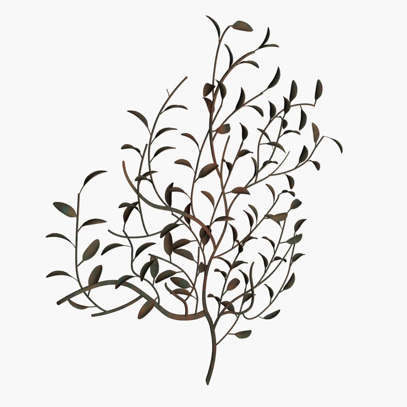 800x800 Chinese Tree