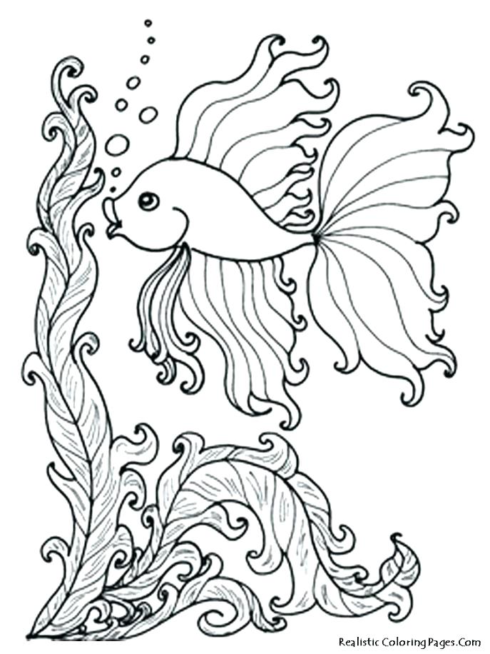 687x916 Chinook Animal Coloring Pages Related Post Coloring Pages