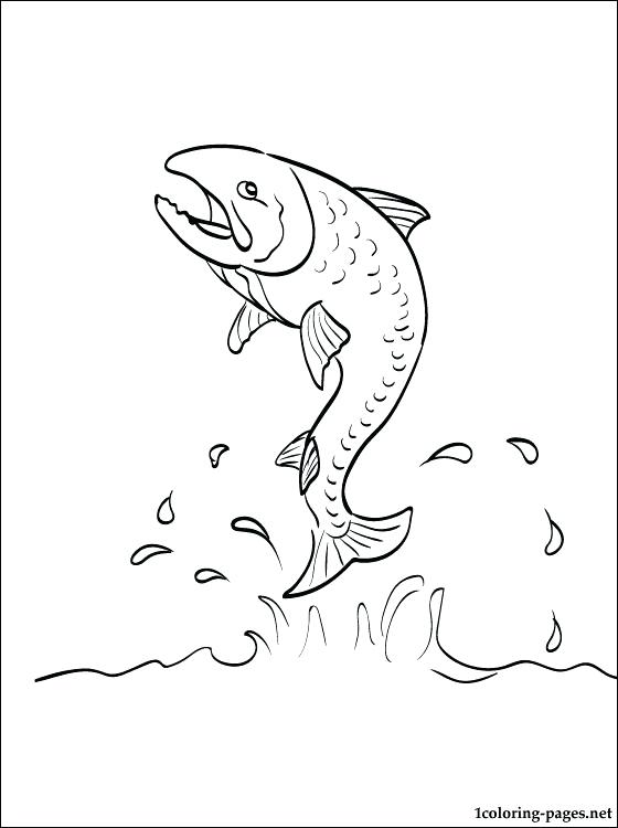 560x750 Salmon Coloring Page Coloring Pages Fish Full Size Of Coloring