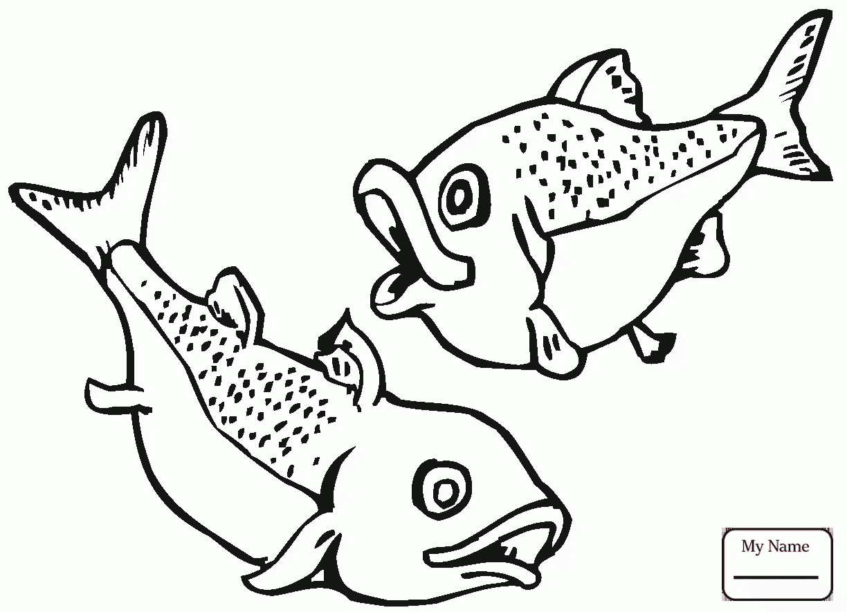 1224x885 Coloring Pages For Kids Chinook Salmon Salmon Fish