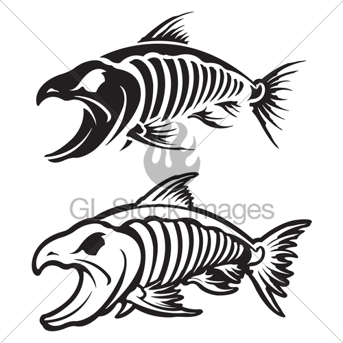 500x500 Pacific Salmon Bone Sceleton Salmon Skeleton Fish Art
