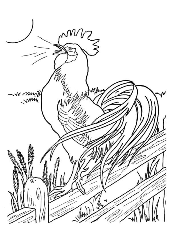 595x842 690 Best Coloring Pages Images On Car Drawings