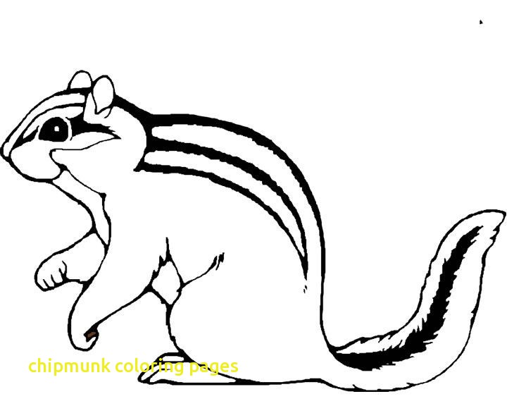 720x576 Chipmunk Coloring Pages With Chipmunks Coloring Pages