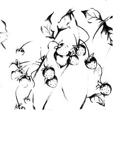 231x300 Chocolate Covered Strawberry Box