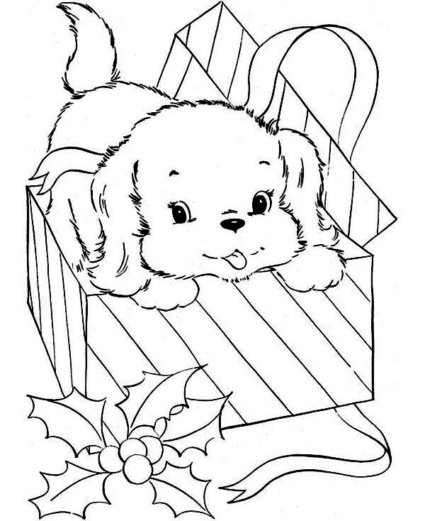 600x734 Little Dog Came From Present Box Coloring Page Color Luna