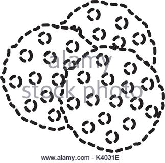 323x320 3 Chocolate Chip Cookies Silhouette On White Background Stock