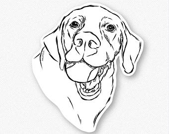 340x270 Lab Tennis Ball Etsy