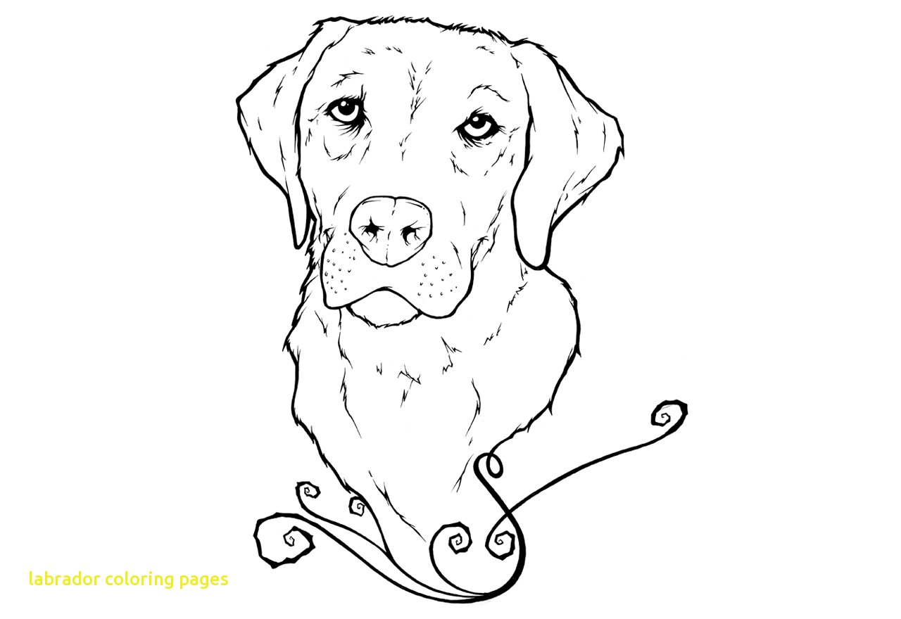 1280x880 Labrador Coloring Pages With Black Lab Coloring Pages 4109